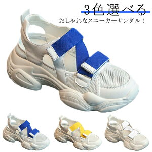 Xj[J[T_  fB[X y V[Y C Xj[J[ T_ bV ʋC ᔽ Ȃ Xgbvt TCY\ fB[X  Xj[J[T_ oCJ