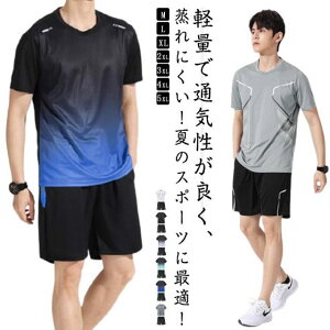 X|[cEFA Y  ㉺Zbg V[gpc oh~g 2_Zbg TVc  W  ^ Zp  tVc jOEFA g[jOEFA JWA