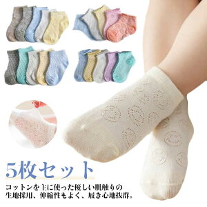 xr[\bNX 5Zbg C xr[ \bNX bV LbY 5g qpC Ԃ  C j̎q ̎q xr[pi ~ߕt Rbg  V c _炩 L