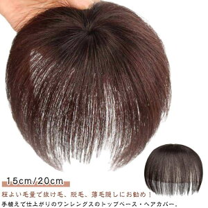 l EBbO Y fB[X ނ B gbvJo[ a6cm 15cm/20cm ~`Eя  V[g wAs[X l R p ×p B   |CgEBbO 