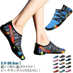 }V[Y fB[Y ʋC y Y WjA Vm[PO K EH[^[V[Y jO ANAV[Y _炩 W RpNg p TCNO C  C