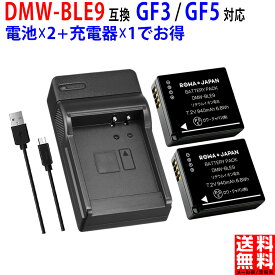 【USB充電器と電池2個】パナソニック対応 LUMIX対応 DMW-BLE9 DMW-BLG10 互換 バッテリー 実容量高 PSE基準検品
