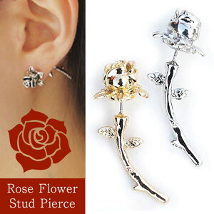 yz o [Y sAX  KN t[ fB[X SVbN SX Vn l bN pN X`[pN GKg tbN C[bv nEB lC