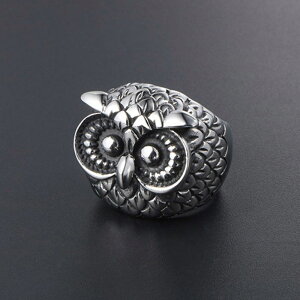 yz O w tNE XeX T[WJXeX Vo[ ӂ낤   G CR IE ANZT[ Vo[ steel fB[X 킢 A l