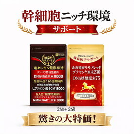 ★進化の【北海道サラブレッドプラセンタ原末230/2袋+ヒアルロン酸ECME2袋】【核酸】【馬　プラセンタサプリ】【 プラセンタ サプリメント】【核酸サプリ】核外で働くプラセンタ＆ヒアルロン酸　核【プラセンタ サプリ】【ヒアルロン酸サプリ