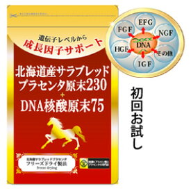 楽天市場 サラプラ原末220 サプリメント ダイエット 健康 の通販