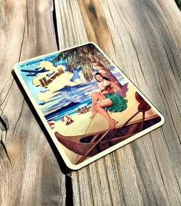 �y��A��SALE�i�E���[���֑��������z�n���C�A���}�O�l�b�g/VisitHawaii/�r�W�b�g�n���C