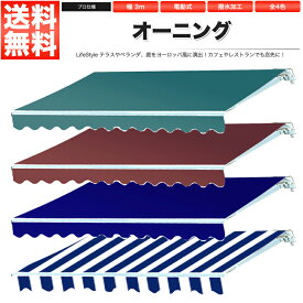 楽天市場 電動 オーニングの通販