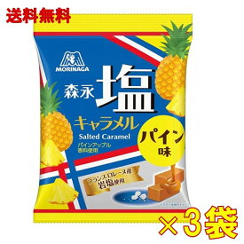 森永製菓 塩キャラメル（パイン味）袋 69g×3袋【賞味期限：2026年4月】