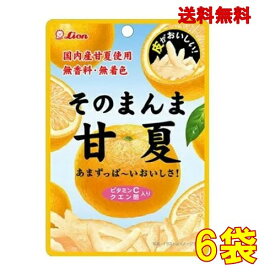 ライオン菓子 そのまんま甘夏 25g ×6個【賞味期限：2026年05月】