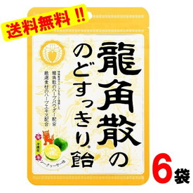 龍角散ののどすっきり飴シークヮーサー袋　88gx6袋