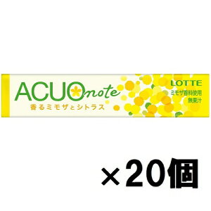 be ACUO note(~UƃVgX) 14×20