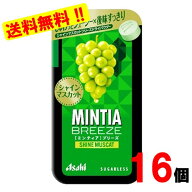 ミンティアブリーズ シャインマスカット　30粒×16個
