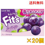 ロッテ Fit's（フィッツ）グレープミックス 12枚×20個