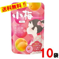 ロッテ 小梅ガム 26g × 10袋【賞味期限：2027年4月】