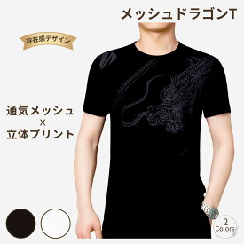 Tシャツ メンズ 半袖 メッシュ 通気性 軽量 速乾 立体ドラゴンプリント 龍柄 夏服 黒 白 大きいサイズ 涼感 カジュアル ストリート 個性派 メタリック装飾 おしゃれ トップス 男性 夏用 半袖Tシャツ メンズ服