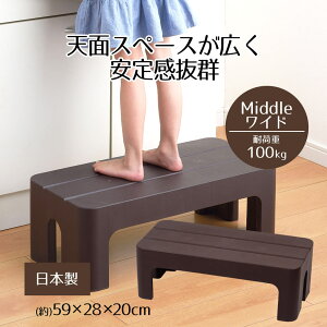 ݑ Xebv ǂłXebv ~h^CviChj STYLE+ 20cm L ɂ ~ 炴 S 芴  Lb` q gC ʑ  O |   X