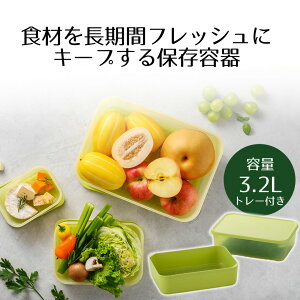 保存容器 鮮度長持ち 3.2L トレー付き 水切り ロック&ロック | キープフレッシュ 密閉 野菜 鮮度キープ 鮮度保持 葉物野菜 鮮度 新鮮 長持ち 保存容器 保存 ストッカー スタッキング 大 オー