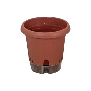 |bg360^ 12 g[t TChXbgt ƒ؉  Aؔ |bg v^[ vX`bN K[fjO ϗtA |   A  ݃J[ Vv Y 