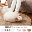 【最大P25倍!1/16まで】蓄熱式フットウォーマー tsk | 暖房器具 あったかグッズ フットヒーター 電気湯たんぽ 足温器 エコ湯たんぽ 暖房機 ゆたんぽ...