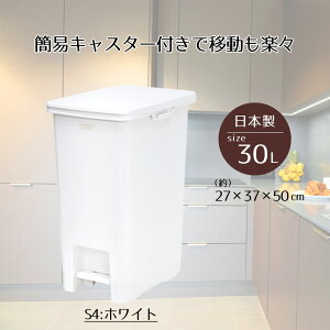 S~ y_  30L y_y[ Boite×e-LABO 30 ݔ 30bg C[{ Vn X _Xg{bNX O  JE^[ ӂt Wt W ӂ t | ݂΂ Lb` 