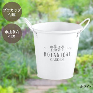 y Gg[Ń|Cgő19{ z {^jJ K[f |bg MTCY Jbvt LIVPLUS | v^[  񂹐A Aؔ K[fjO |bg A   ͂ J