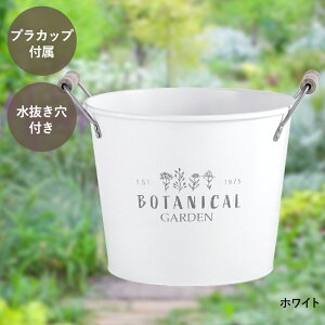 y Gg[Ń|Cgő19{ z {^jJ K[f |bg STCY Jbvt LIVPLUS | v^[  񂹐A Aؔ K[fjO |bg A   ͂ J