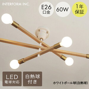 AXgoE V[OCg M C^[tH | Ɩ  V[O rO JtF rOƖ V k Cg _CjO CeA  i` Vv INTER