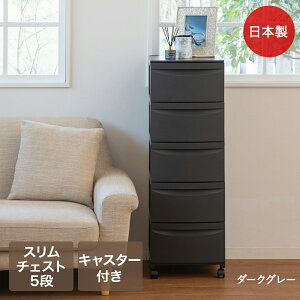 y |Cg5{ 11/30()00:00`12/1()23:59܂ zLX^[t [Zg X`FXg5i aH | g { `FXg RpNg [P[X [{bNX [ Vv o 