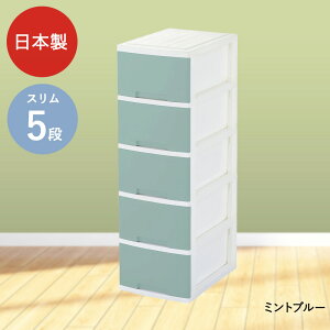 j[CtX [{bNX 5i LX^[t O[p | [ {bNX `FXg m^X o P[X m[P[X [box [{bNX5i [P[X ߑP[X 