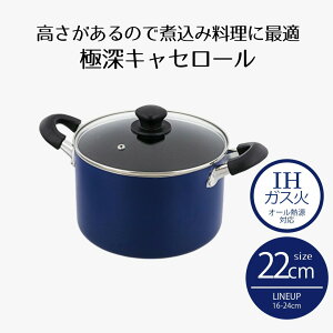 y Gg[Ń|Cgő19{ z LZ[  22cm 5.3L IHΉ ɐ[ u[ NQ-0264 xXgR | ih KX   Ȃ W KX ӂf [ [^ [ KXW ӂ t^ ~jTCY