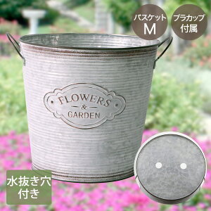 t[Y K[f oXPbg MTCY Jbvt NE-737 LIVPLUS | v^[  񂹐A Aؔ K[fjO |bg A   ͂ Jo[ uL Jo[ Jbv