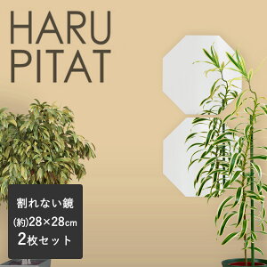 j[͂҂ 280×280mm 2g | ͂s^  V[ RpNg  tB mt[ Sg tFNX~[ hƃ~[ p EH[~[ y \鋾 \~[ C  