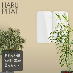 j[͂҂ 430×210mm 2g |  V[ RpNg  tB mt[ tFNX~[ hƃ~[ hƋ  y EH[~[  ֗ Lb` N[[bg g