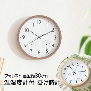 y|Cg5{ 101()00:00~101()23:59܂Łz |v a30cm xvt tHXg ؖڒ dr sf | v Ǌ| |v  IV 킢 v | EH