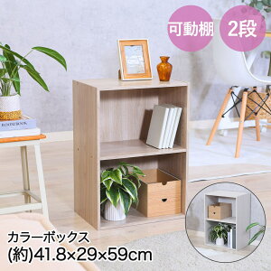�s��f�� �J���[�{�b�N�X ���I 2�i 41.8×29×59cm �g���i | �J���[ �{�b�N�X �� �I �V���� ���[�I �g�ݗ��� �Ƌ� �C���e���A�Ƌ� �{�I ���[ ���[�{�b�N�X �G�ݒu���� ���b�N ��i ���� DVD �R�~