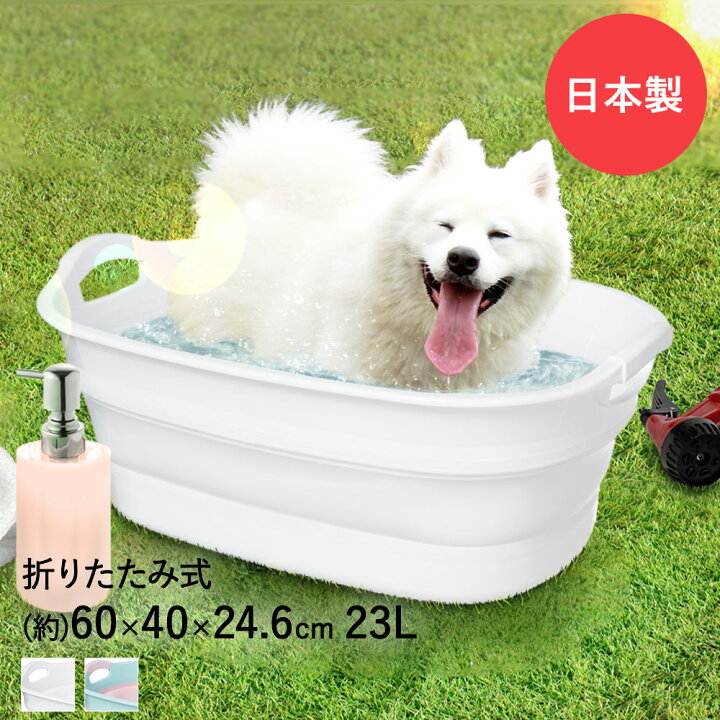 楽天市場 ソフト タブ ワイド ペット ペットバス ソフトタブ 犬 猫 お風呂 犬用 おしゃれ コンパクト 折りたたみ 収納 軽量 たらい 洗濯桶 アウトドア 桶 折り畳み ソフトタブワイド 洗い桶 バスタブ プール キャンプ 小型犬 ペットプール おりたたみ ペット用品 バス