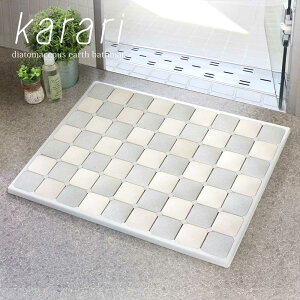 【 ポイント5倍 10/30(木)00:00〜10/30(木)23:59まで 】アスベスト・ゼロで安全 プレミアム 珪藻土 バスマット Lサイズ 58x45.5cm | マット 珪藻土バスマット かわいい お風呂 消臭 珪藻土マット 洗える