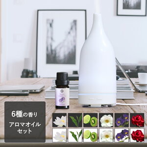 アロマディフューザー 陶器の通販 価格比較 価格 Com