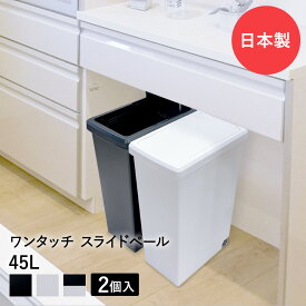 スライドペール 45L ゴミ箱 2個セット | ごみ箱 ダストボックス ゴミ入れ キャスター付き キッチンごみ箱 キッチン 45リットル 蓋つきゴミ箱 ふた付き 分別 トラッシュカン ごみばこ カウンター下 生ごみ 生ゴミ 模様替え 引っ越し 台所 スリム 新生活 一人暮らし まとめ買い