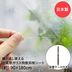 y|Cg5{ 1010()00:00~1010()23:59܂Łz 䕗΍ KX U}V[g  90cm×180cm ۊǃP[Xt aOrA | KXtB  KX Uh~ gUh~ U}