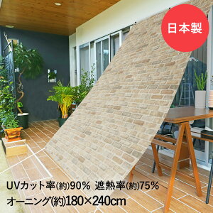 y|Cg10{ 104(y)20:00~109()1:59܂Łz TVF[h 悯 I[jO K 180cm×240cm ORE-1824 aOrA { |  VF[h ˂  ՔM Ռ UVJbg O 