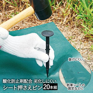 hV[g Gh~V[g GV[g s 20{g RWbg | V[g GV[g V[g hV[gp hV[gs s G΍  G Y Œ Œs ɂ 15cm _