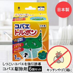 nG RoG g| 6Zbg Ize { | nG쏜 u^   ͂  nGߊl ߒ nG oG   U  S~ S~ E E h