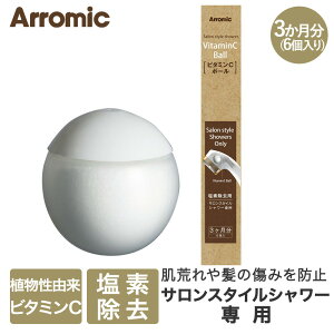 �y�|�C���g20�{ 7/30(��)00:00�`7/30(��)23:59�܂Łz Arromic �A���~�b�N �r�^�~��C�{�[�� �T�����X�^�C���V�����[��p (6����) SSV-48N | �V�����[�w�b�h �V�����[ �w�b�h �r�^�~��C ���f���� ���f ��
