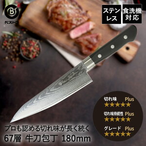 _}XJX 67w  180mm FN-101 Of xXgR |  18cm XeX ؂ꖡ HΉ nh  ق傤 イƂ \ 悭؂ iCt   Lb`