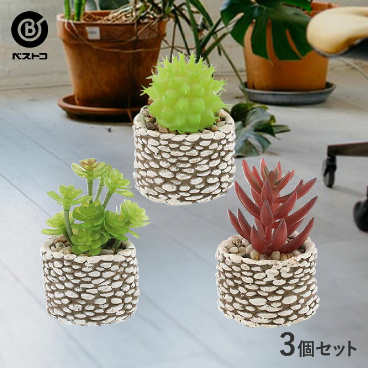 楽天市場 フェイクグリーン ストーン ポット 3個セット 観葉植物 卓上 フェイク ミニ 人工観葉植物 造花 サボテン 多肉植物 小さい インテリア グリーン アーティフィシャルグリーン おしゃれ プレゼント 小型 室内 人工 グリーン インテリア 植物 ミニ観葉植物