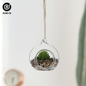 観葉植物 ガラス 鉢の人気商品 通販 価格比較 価格 Com