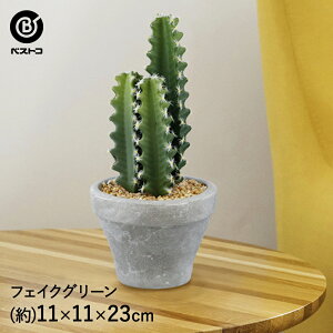 サボテン インテリア おしゃれ 観葉植物の人気商品 通販 価格比較 価格 Com