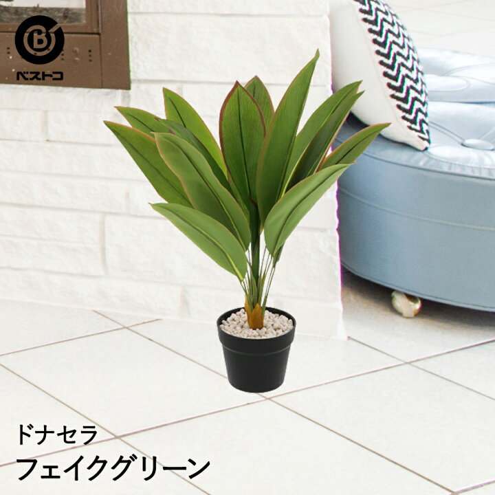 楽天市場 フェイク フォリージ M ドナセラスタイル フェイクグリーン イミテーショングリーン 観葉植物 人工植物 インテリア グリーン 人工 観葉植物 玄関 鉢植え 鉢 お祝い おしゃれ リビング 寝室 植物 ドラセナ 卓上 ナチュラル オフィス 雑貨 ダイニング インテリア
